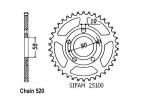 COURONNE ACIER 25100CZ
