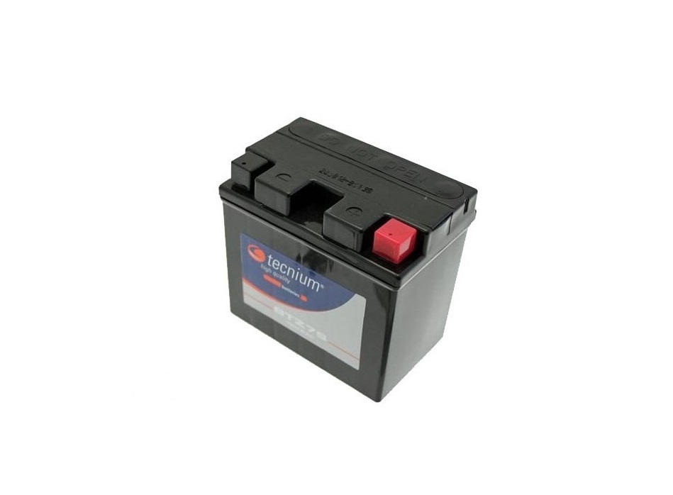 BS BATTERY Battery Conventional with Acid Pack - 6N12A-2D (B54-6A) - BIHR