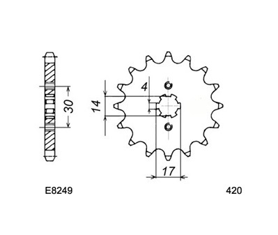 PIGNON ACIER 1010.E8249