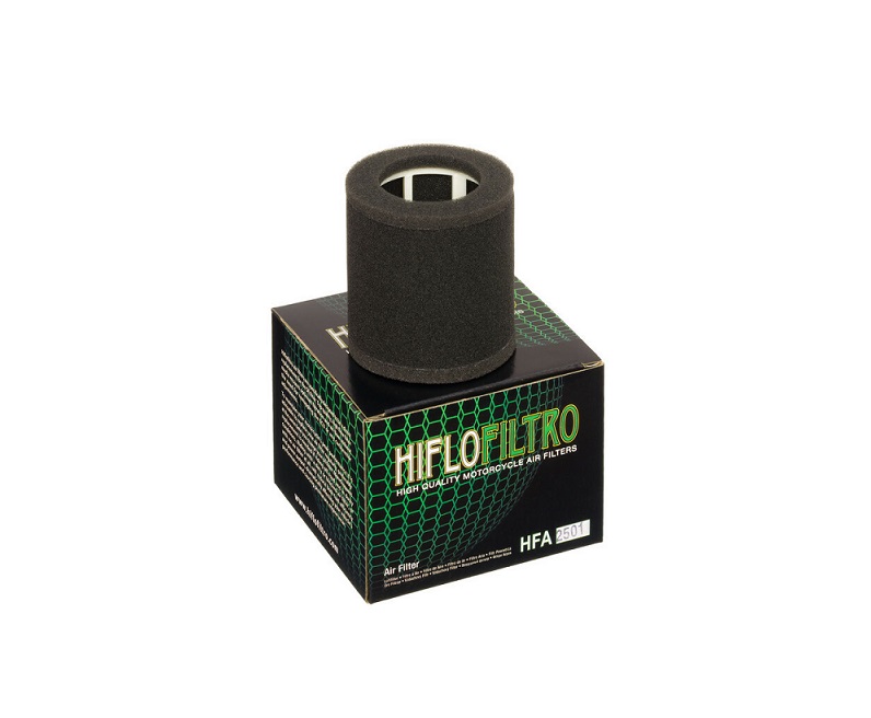 FILTRE A AIR HIFLOFILTRO HFA2501