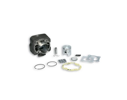 KIT CYLINDRE PISTON 2TPS MALOSSI MA.31.7748 HONDA 50 SFX / SGX / SH SCOOPY / SJ BALI / SXR / X8R-R / X8R-S / X8R-X