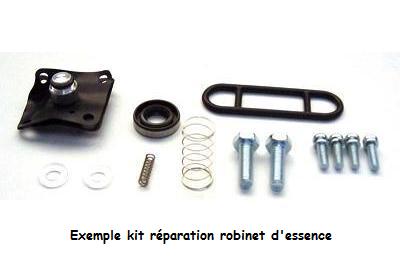 KIT REPARATION ROBINET DESSENCE 824110