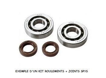 KIT ROULEMENTS DE VILEBREQUIN ET SPYS DOPPLER PEUGEOT 50 LUDIX 