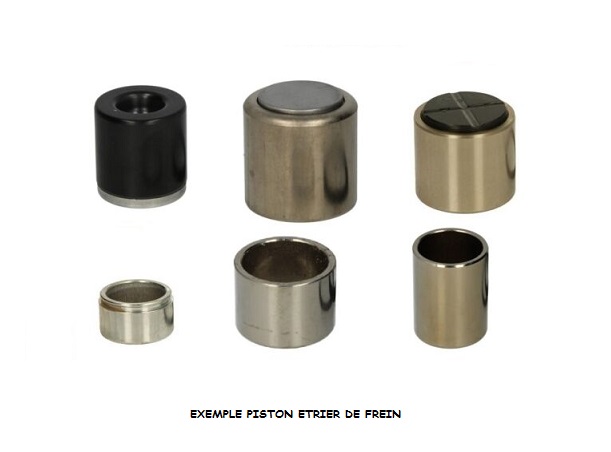 PISTON ETRIER DE FREIN ARRIERE 359228