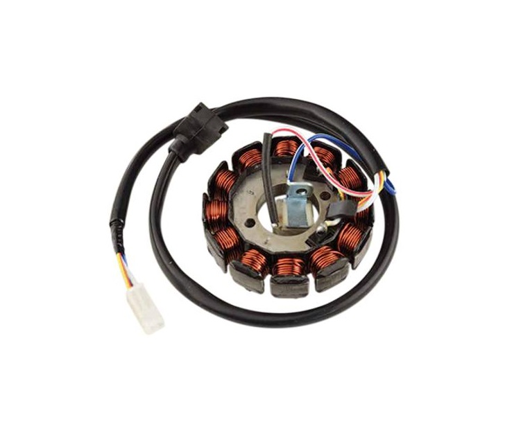 STATOR ALLUMAGE AVEC CAPTEUR DUCATI TEKNIX MOTO 50 AM6 A PARTIR DE 2007 LONGUEUR 65 CM