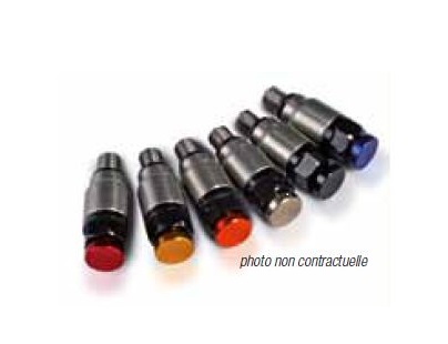 VALVES DE PRESSION DE FOURCHE EN INOX M5 COULEUR ALU